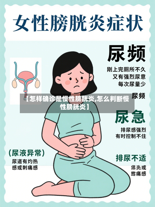 【怎样确诊是慢性膀胱炎,怎么判断慢性膀胱炎】-第2张图片