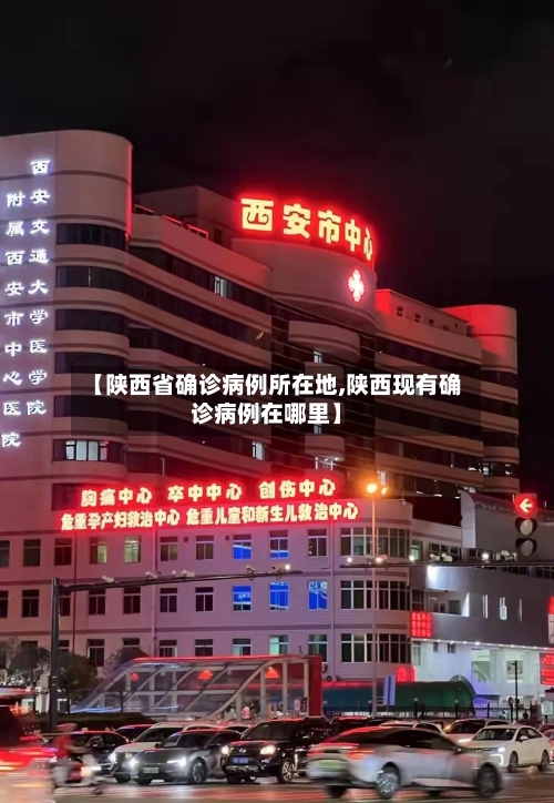 【陕西省确诊病例所在地,陕西现有确诊病例在哪里】-第3张图片