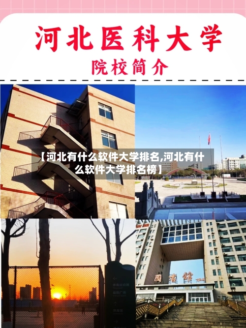 【河北有什么软件大学排名,河北有什么软件大学排名榜】