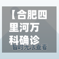 【合肥四里河万科确诊,合肥四里河万科广场什么时候开业】-第2张图片