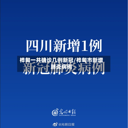桦甸一共确诊几例新冠/桦甸市新增肺炎病例-第3张图片
