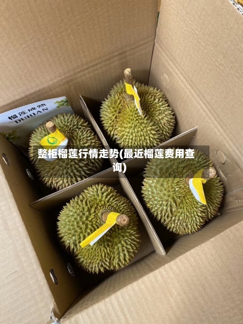 整柜榴莲行情走势(最近榴莲费用查询)