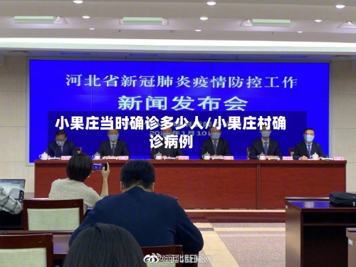 小果庄当时确诊多少人/小果庄村确诊病例-第2张图片