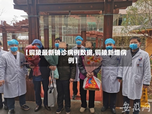 【铜陵最新确诊病例数据,铜陵新增病例】-第3张图片