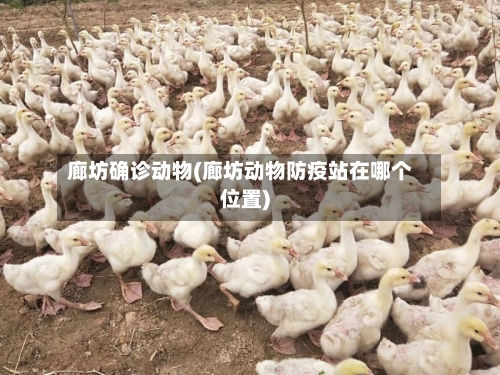 廊坊确诊动物(廊坊动物防疫站在哪个位置)-第2张图片