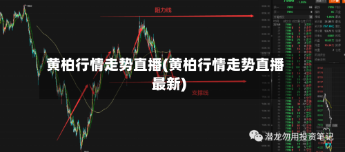 黄柏行情走势直播(黄柏行情走势直播最新)-第2张图片
