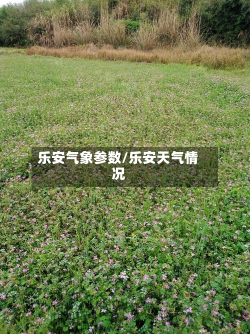 乐安气象参数/乐安天气情况-第2张图片