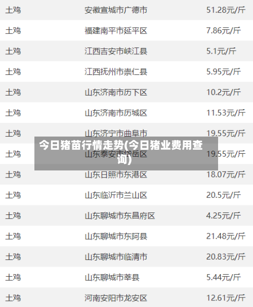 今日猪苗行情走势(今日猪业费用查询)-第2张图片