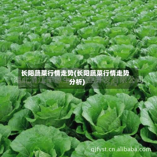 长阳蔬菜行情走势(长阳蔬菜行情走势分析)-第2张图片