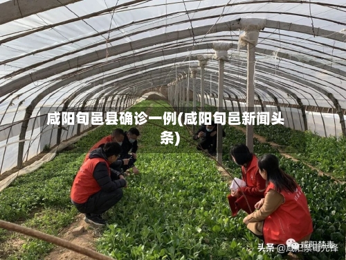 咸阳旬邑县确诊一例(咸阳旬邑新闻头条)-第2张图片