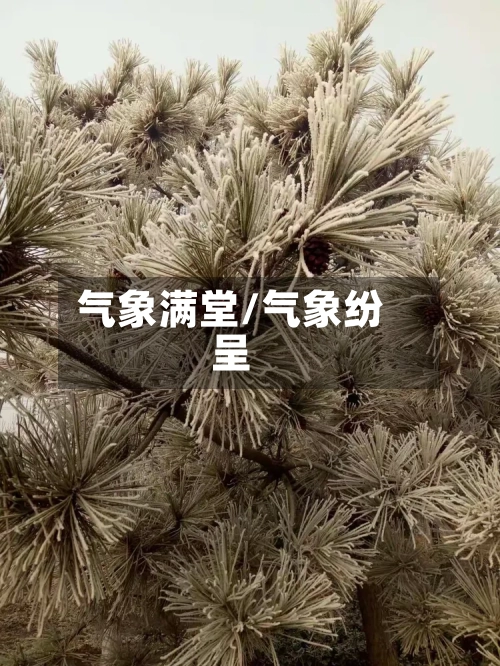 气象满堂/气象纷呈-第2张图片