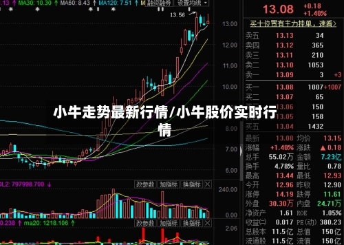 小牛走势最新行情/小牛股价实时行情