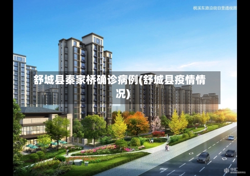舒城县秦家桥确诊病例(舒城县疫情情况)-第2张图片