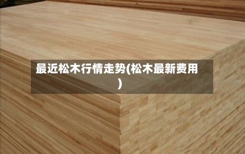 最近松木行情走势(松木最新费用)