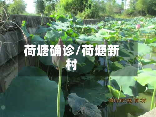 荷塘确诊/荷塘新村-第2张图片