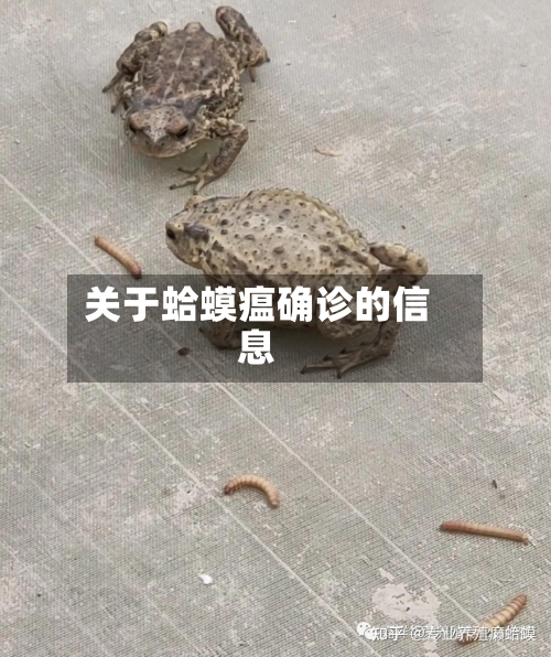 关于蛤蟆瘟确诊的信息
