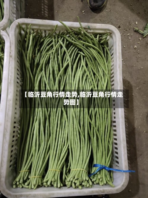 【临沂豆角行情走势,临沂豆角行情走势图】-第2张图片