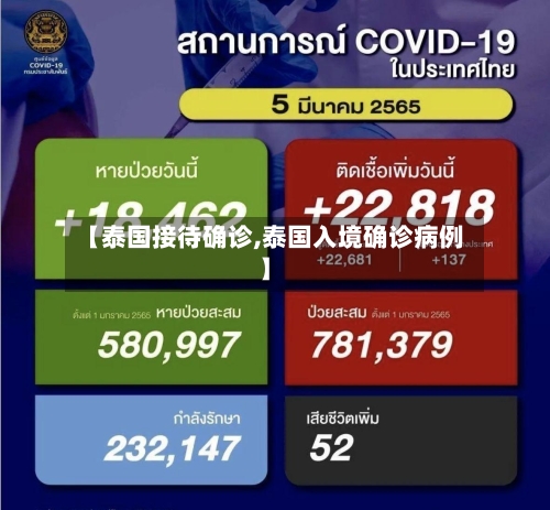 【泰国接待确诊,泰国入境确诊病例】-第3张图片