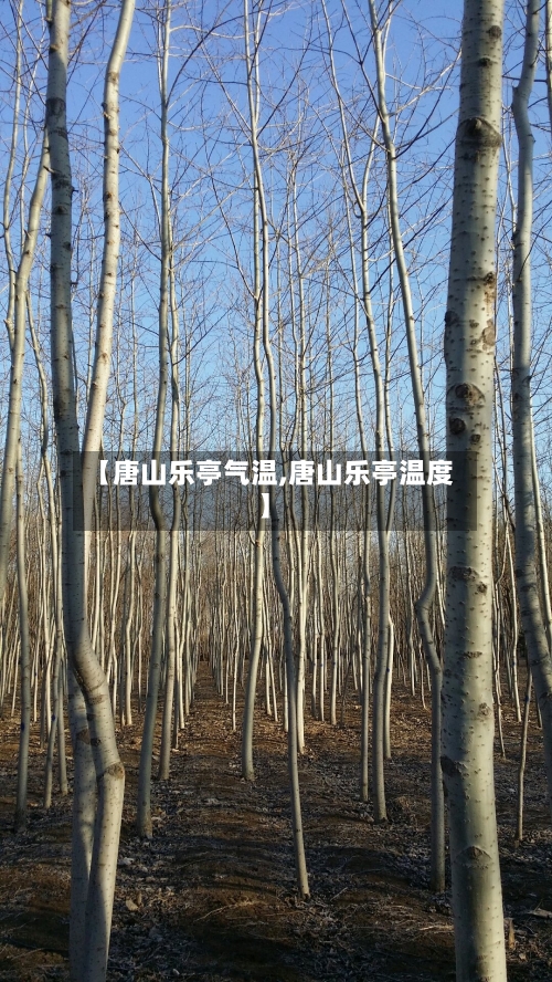 【唐山乐亭气温,唐山乐亭温度】