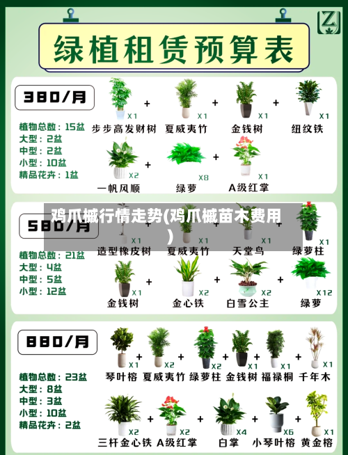 鸡爪槭行情走势(鸡爪槭苗木费用)-第3张图片