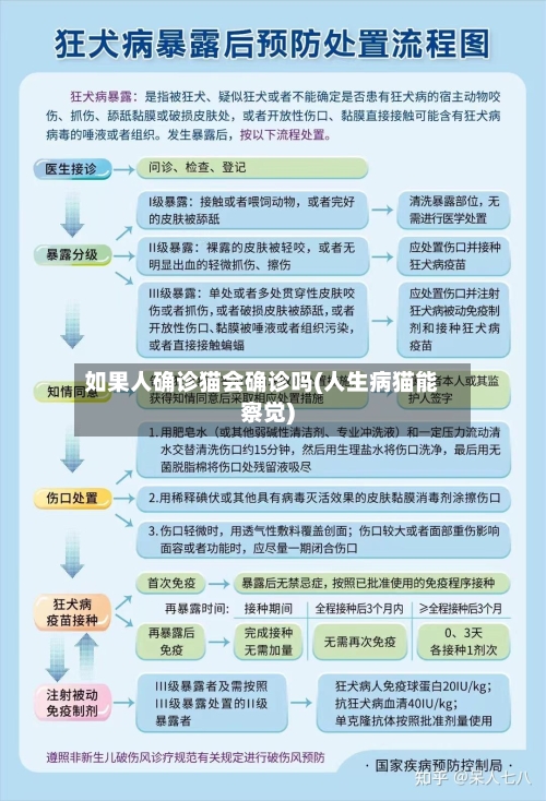 如果人确诊猫会确诊吗(人生病猫能察觉)-第2张图片
