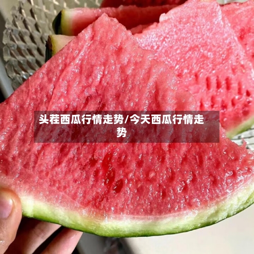 头茬西瓜行情走势/今天西瓜行情走势-第3张图片