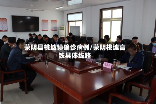 蒙阴县桃墟镇确诊病例/蒙阴桃墟高铁具体线路-第2张图片