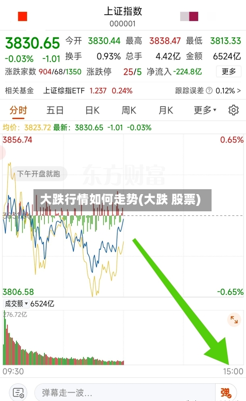 大跌行情如何走势(大跌 股票)-第2张图片