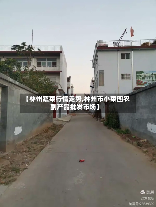 【林州蔬菜行情走势,林州市小菜园农副产品批发市场】