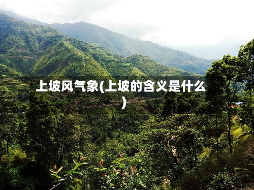 上坡风气象(上坡的含义是什么)-第2张图片