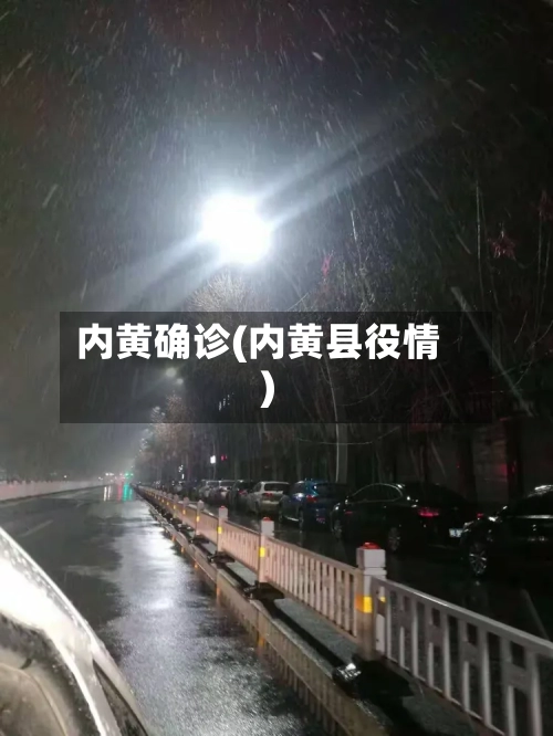 内黄确诊(内黄县役情)-第1张图片