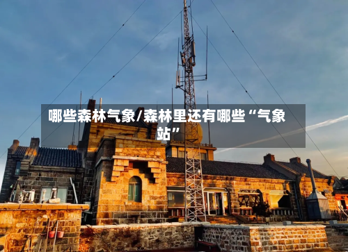 哪些森林气象/森林里还有哪些“气象站”-第2张图片