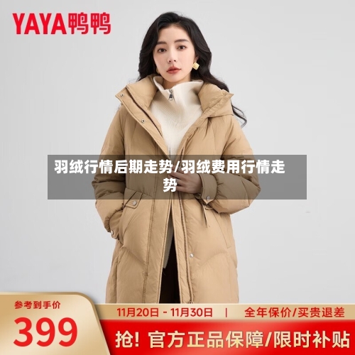 羽绒行情后期走势/羽绒费用行情走势-第2张图片