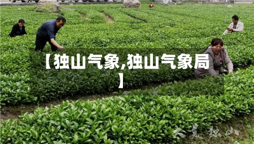【独山气象,独山气象局】-第2张图片