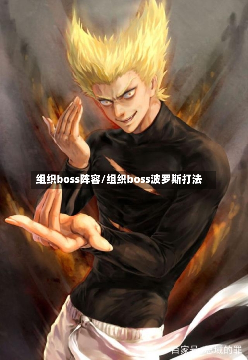组织boss阵容/组织boss波罗斯打法-第2张图片
