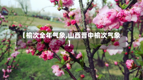 【榆次全年气象,山西晋中榆次气象】