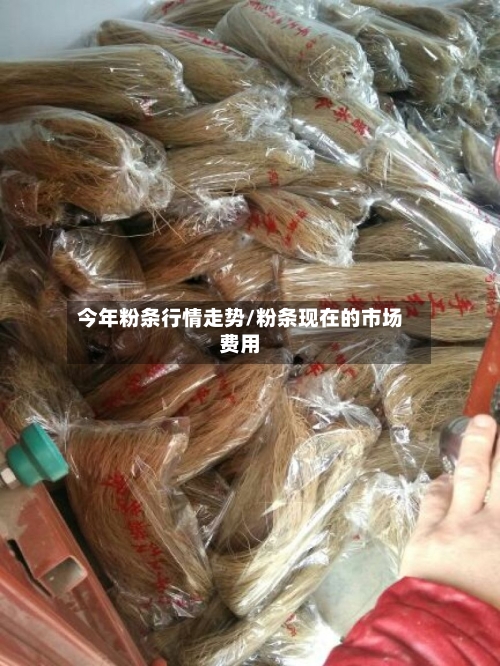 今年粉条行情走势/粉条现在的市场费用