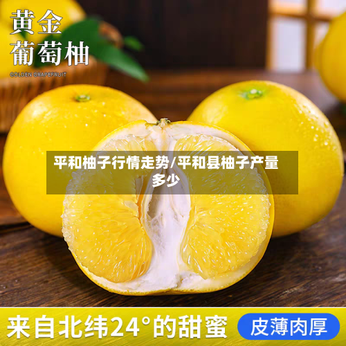 平和柚子行情走势/平和县柚子产量多少-第2张图片