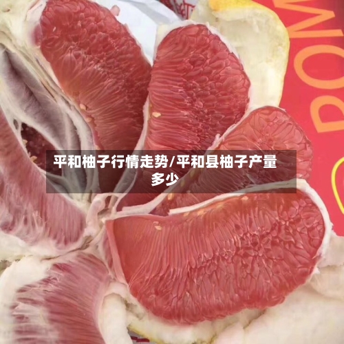平和柚子行情走势/平和县柚子产量多少