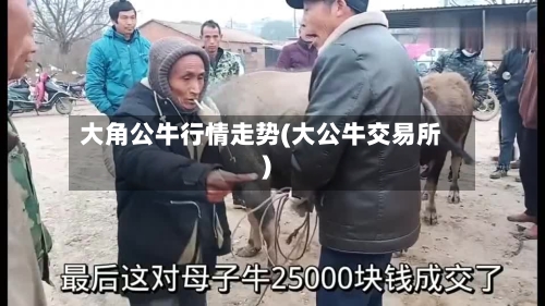 大角公牛行情走势(大公牛交易所)