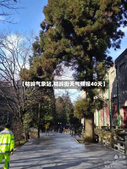 【牯岭气象站,牯岭街天气预报40天】-第2张图片
