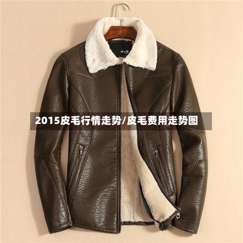 2015皮毛行情走势/皮毛费用走势图