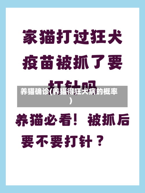 养猫确诊(养猫得狂犬病的概率)