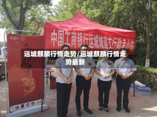 运城麒麟行情走势/运城麒麟行情走势最新-第2张图片
