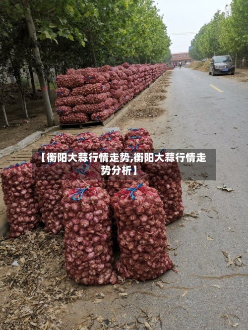 【衡阳大蒜行情走势,衡阳大蒜行情走势分析】