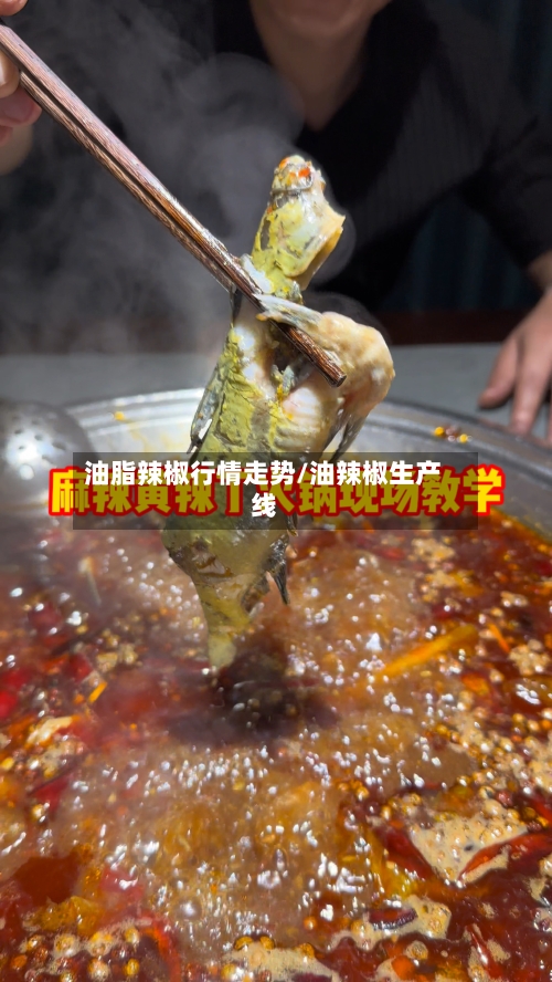 油脂辣椒行情走势/油辣椒生产线-第1张图片