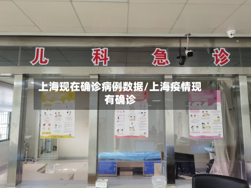 上海现在确诊病例数据/上海疫情现有确诊-第3张图片