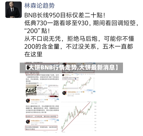【大饼BNB行情走势,大饼最新消息】-第1张图片