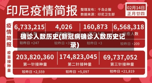 确诊人数历史(新冠病确诊人数历史记录)-第2张图片
