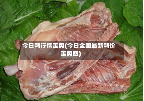 今日鸭行情走势(今日全国最新鸭价走势图)-第2张图片